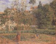 Camille Pissarro Vegetable Garden at the Hermitage near Pontoise oil painting artist